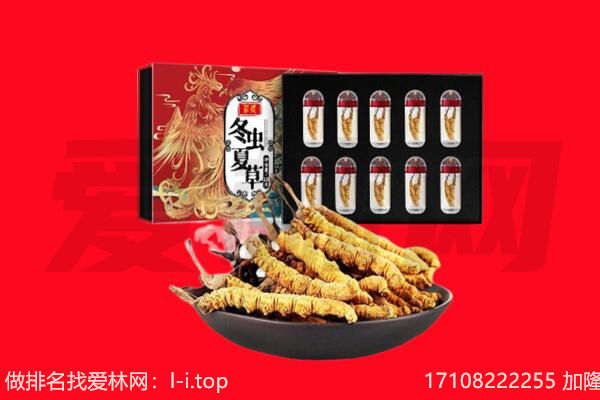 杭州富阳区回收虫草.jpg